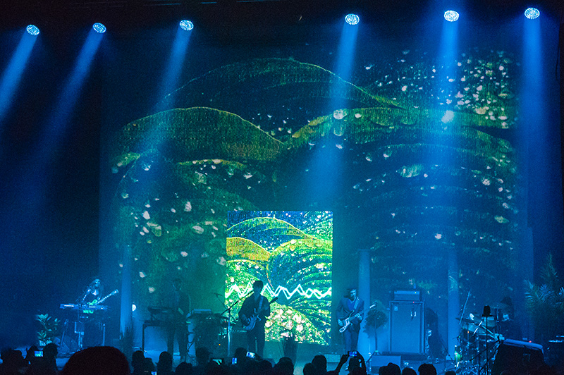 mgmt tour sasic photo